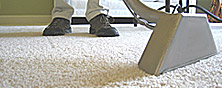 Professional Carpet Cleaner Vacuuming Carpet