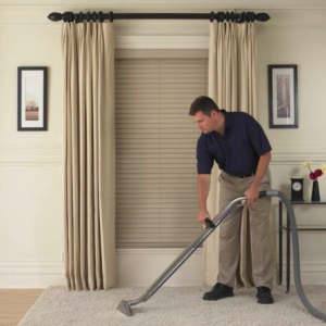 Professional Carpet Cleaner Cleaning Carpet